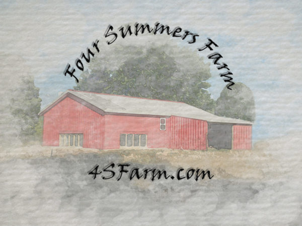 Water color style red barn with grey roof and text overlay saying Four Summers Farm